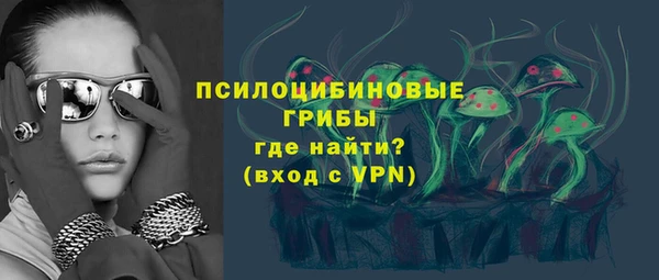 стафф Няндома