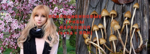 стафф Няндома