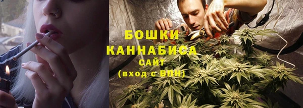 стафф Няндома