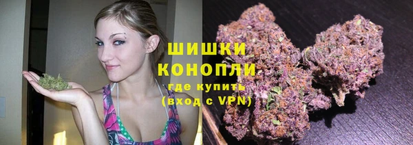 стафф Няндома